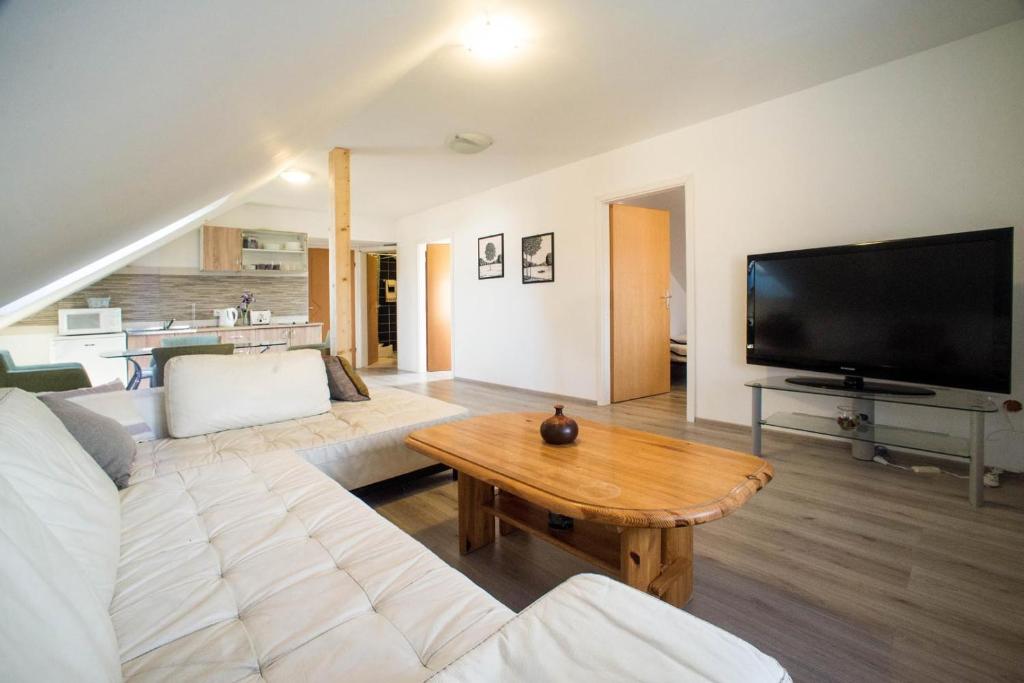 uma sala de estar com um sofá, uma televisão e uma mesa em Apartments Osijek by the River em Osijek