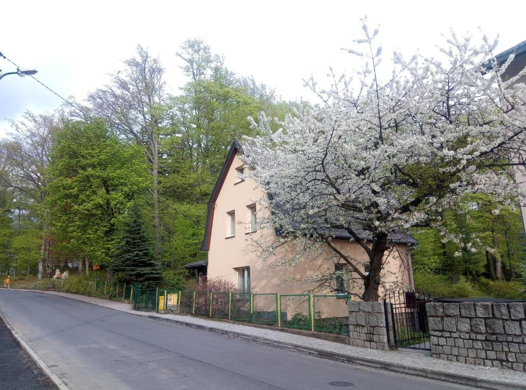 ein Haus mit einem blühenden Baum neben einer Straße in der Unterkunft Willa Rozalia in Szklarska Poręba