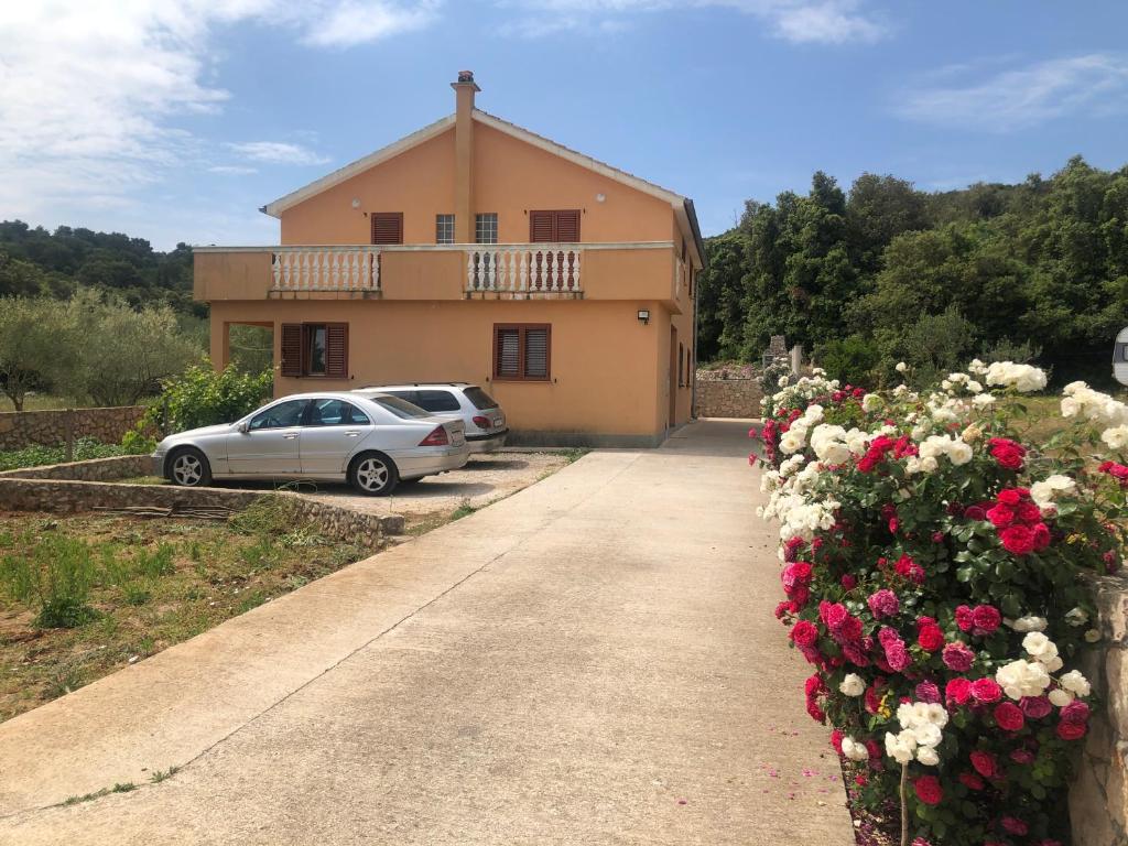 Zahrada ubytování Apartman Sternak