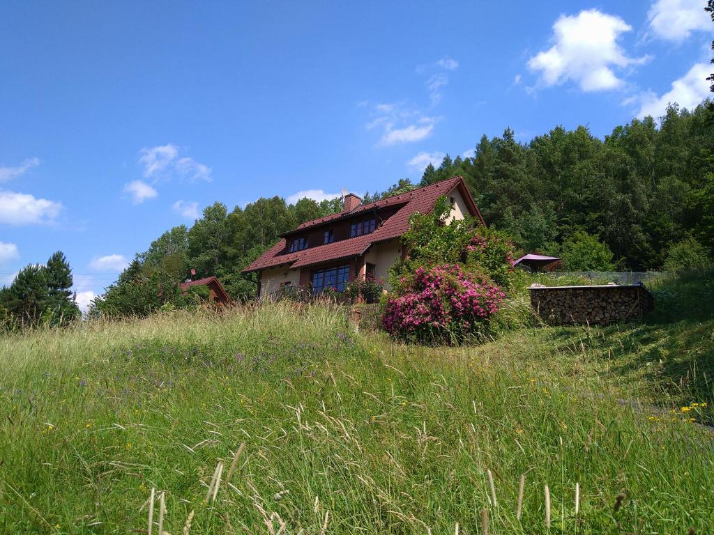 ein Haus inmitten eines Grasfeldes in der Unterkunft Apartmán V hájích Malá Skála in Malá Skála