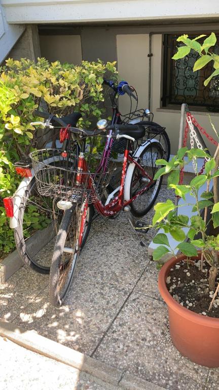 Rowery dostępne w obiekcie Casa Ameria lub w pobliżu