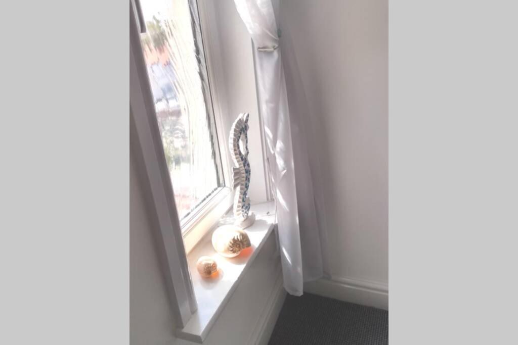 a window with a vase and a snake on a window sill at place by the sea in Bridlington