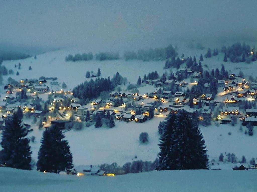 Haus am Sonnenberg,Todtnauberg, Ferienwohnung 002, direkt am Skilift-Skipiste, Nähe Feldberg v zimě