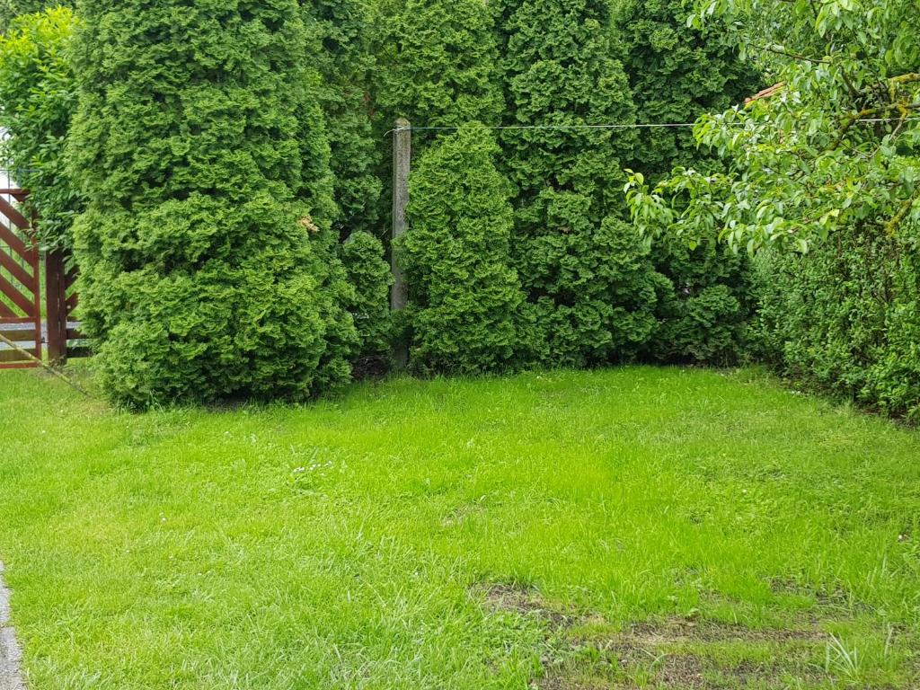 Vonkajšia záhrada v ubytovaní Tavasz apartman