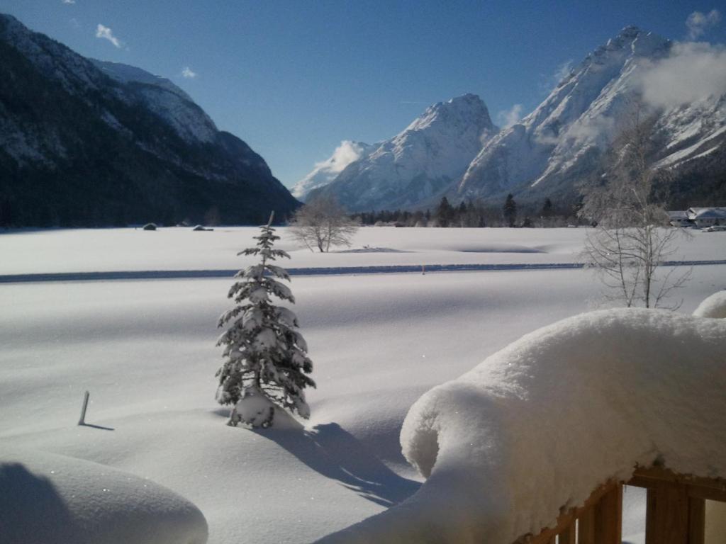 ロイタッシュにあるApartments am Burggrabenの雪山小木