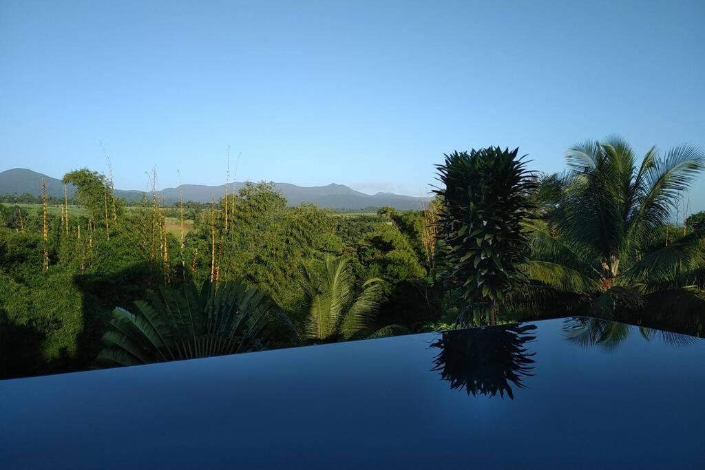 uma piscina com vista para uma floresta de palmeiras em Villa Kumquat, avec piscine Clévacances 4 clés em Petit-Bourg