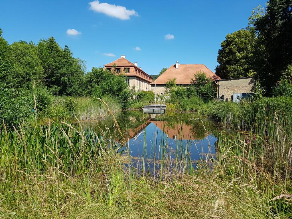 a view of a river with a building in the background at Propstei Wechterswinkel in Wechterswinkel