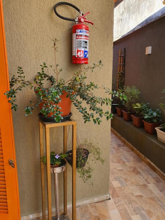  APARTAMENTO DE 1DR PRAIA DE JUQUEHY