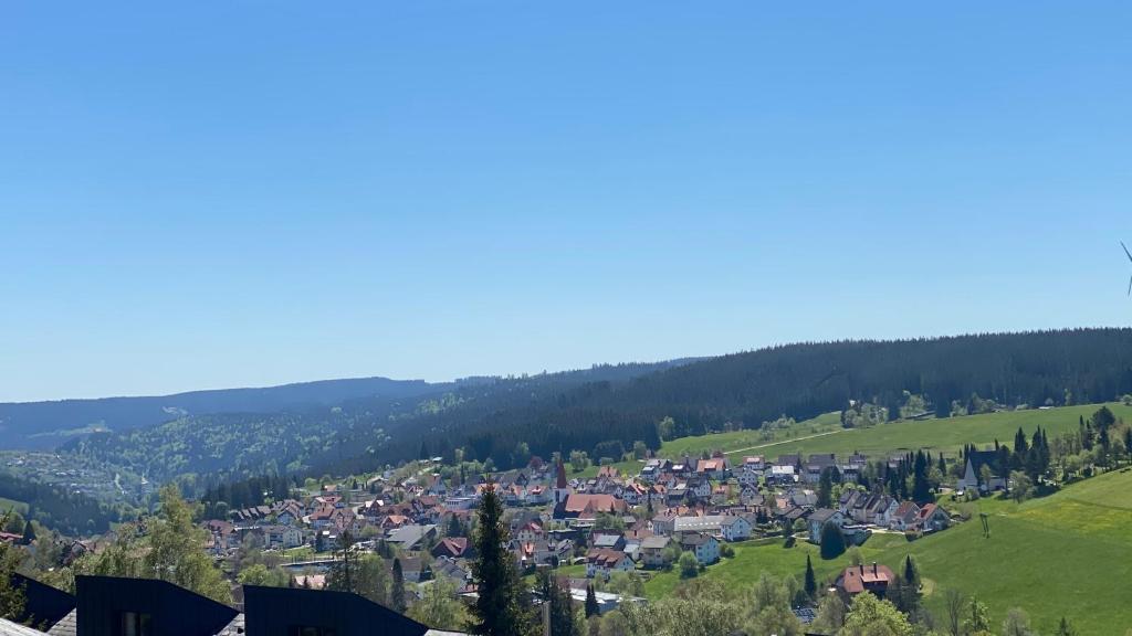 a view of a town in a green valley at AUSZEIT in Obertal