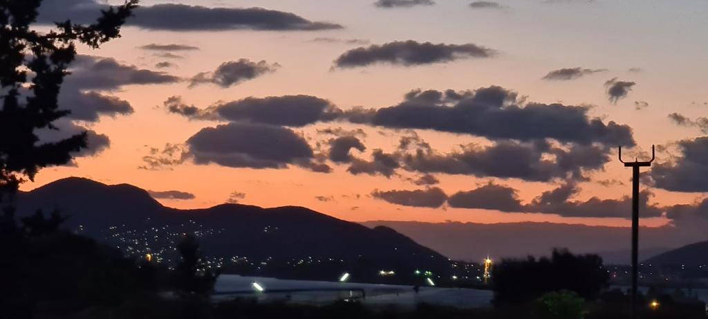 Ariston Hotel - Resim 20