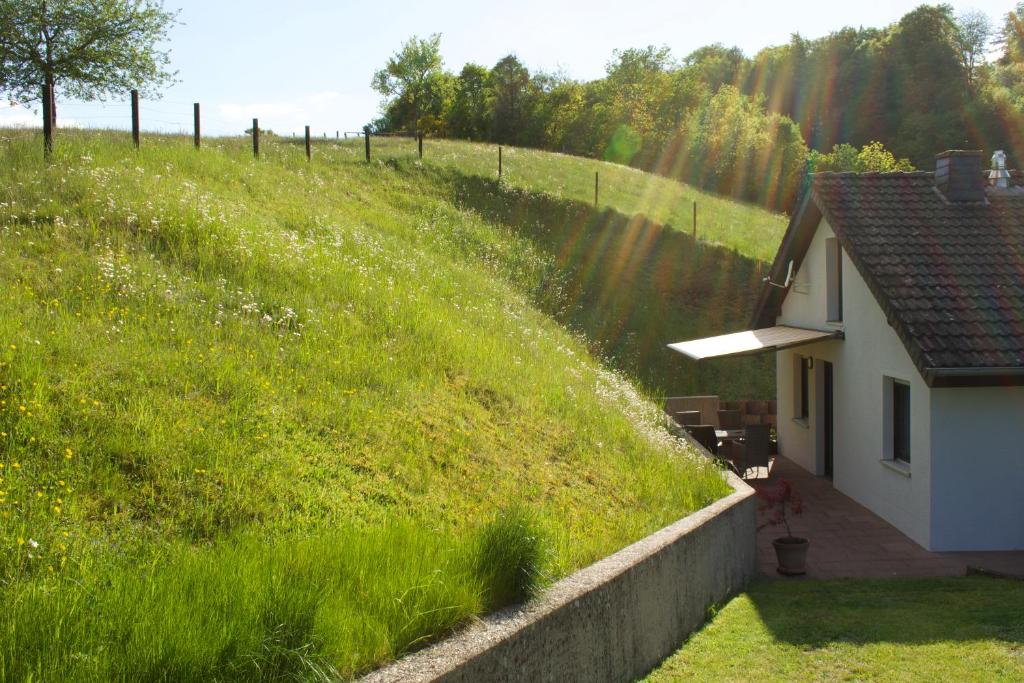 Zahrada ubytování Ferienhaus Steins
