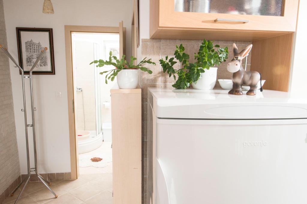 Kuchyň nebo kuchyňský kout v ubytování Apartment Alba