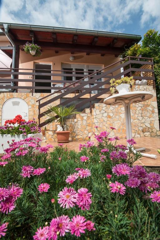 Zahrada ubytování Apartment Alba
