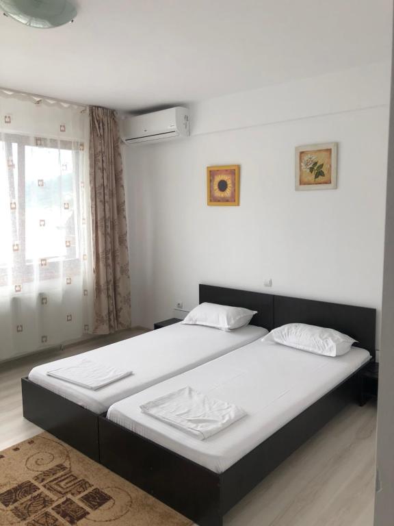 1 Schlafzimmer mit 2 Betten und einem Fenster in der Unterkunft Pensiunea Cazanele Dunarii in Dubova
