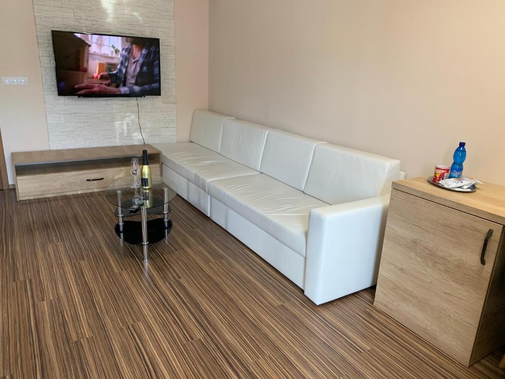 TV o dispositivi per l'intrattenimento presso ELTAKO penzion