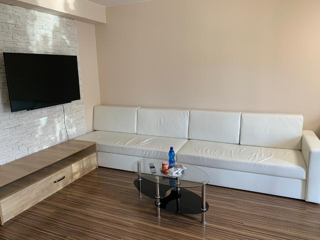 TV o dispositivi per l'intrattenimento presso ELTAKO penzion