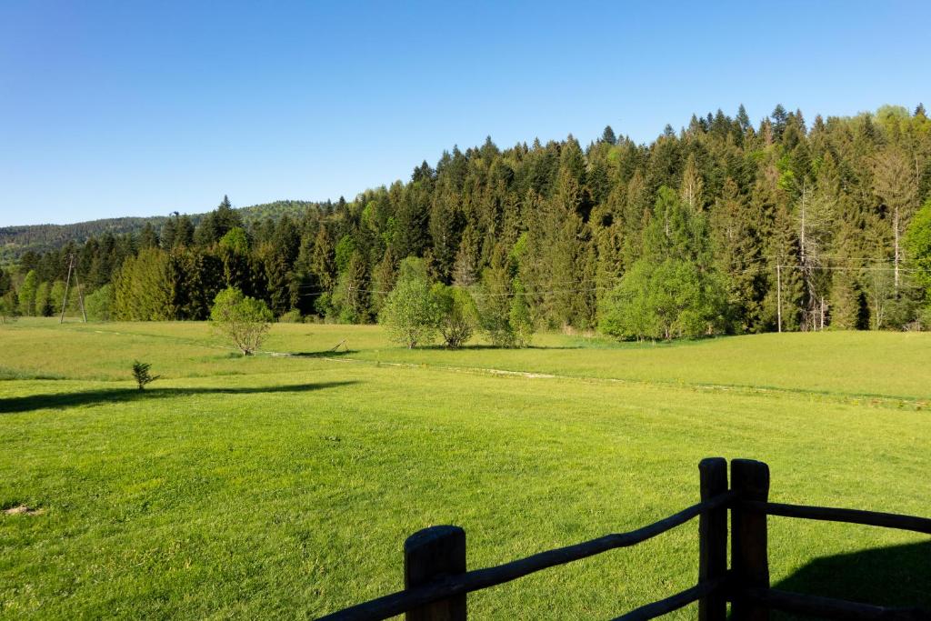 Príroda v okolí chaty v prírode