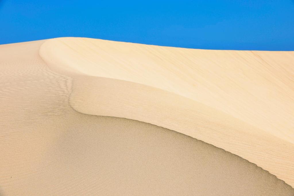 un primer plano de una duna de arena en Oasis Royal, en Corralejo