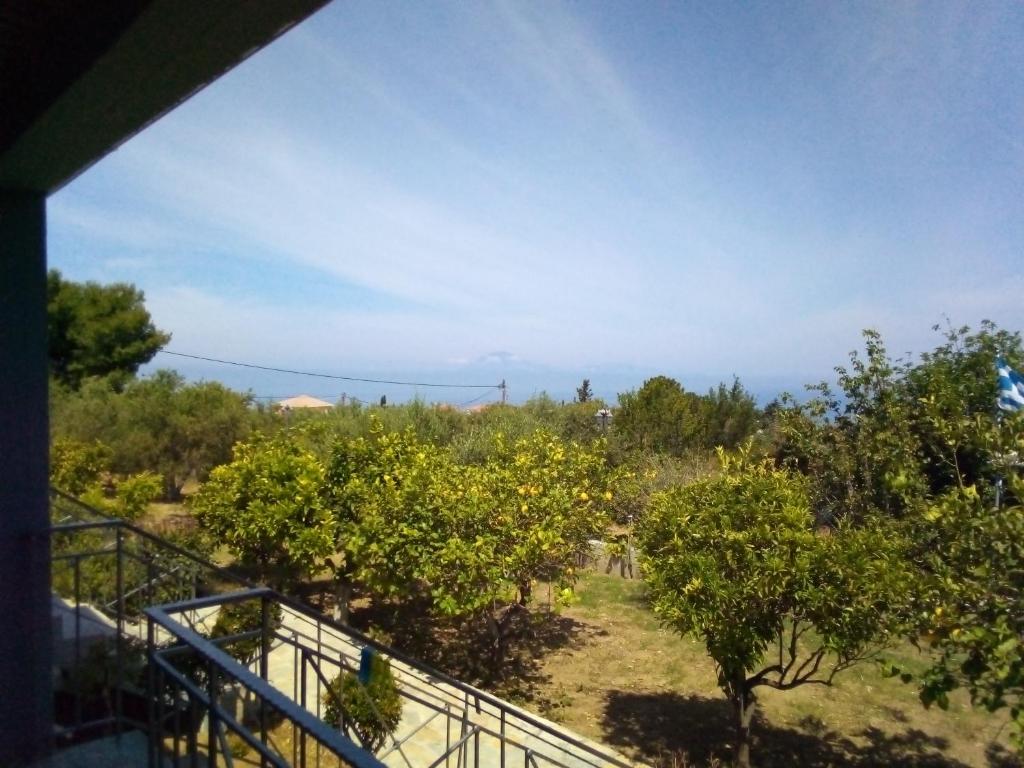 Příroda nedaleko apartmánu