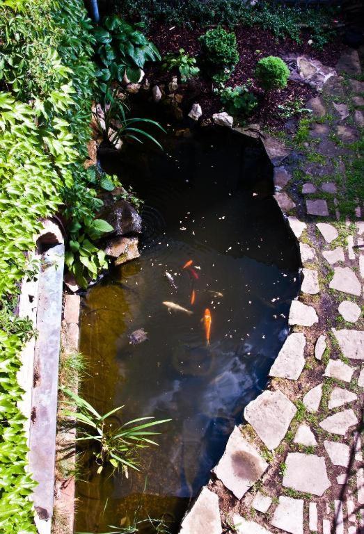 Fotografie z fotogalerie ubytování New Fajka v destinaci Mikulov