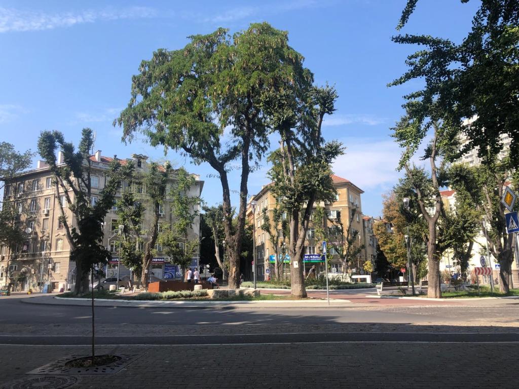 Gallery image of Nõma studio in Varna City