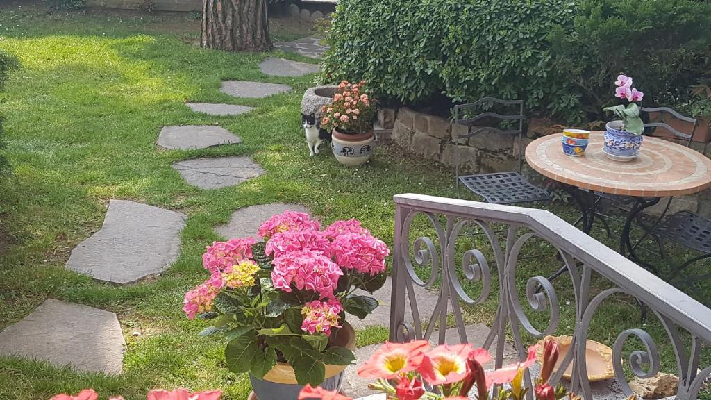 Zahrada ubytování B&B Fontanella