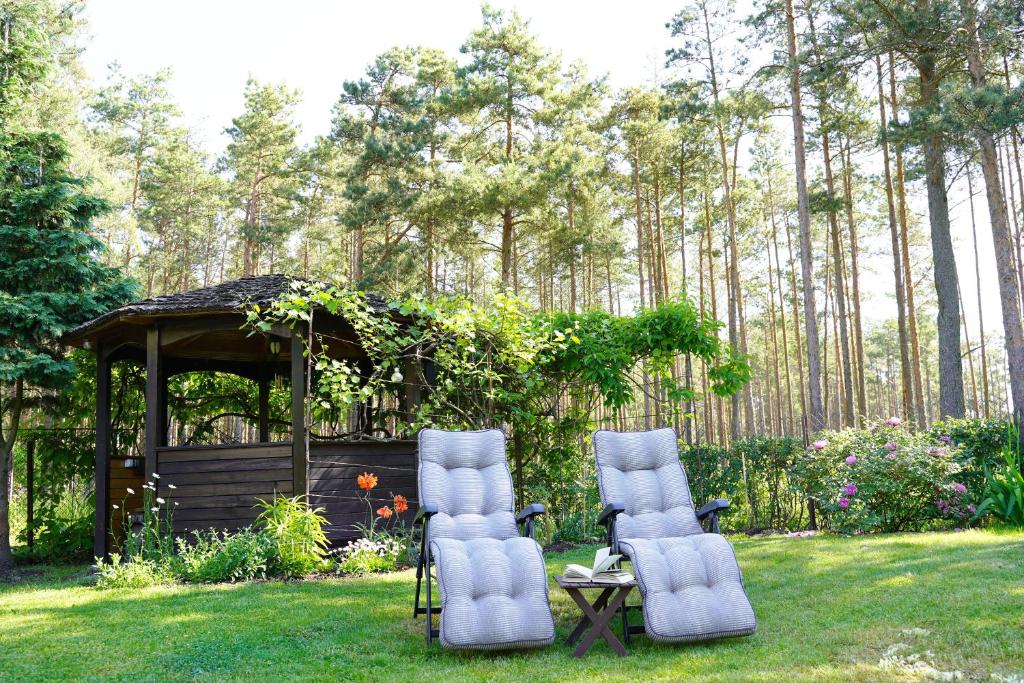 Garden apartment - Appartamento Con 1 Camera Da Letto
