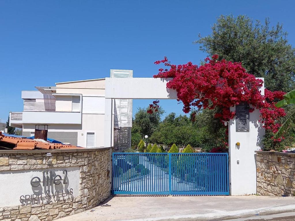 uma casa branca com um portão azul com um ramo de flores em Stella Marina Family Apartment 2 em Dhërmi