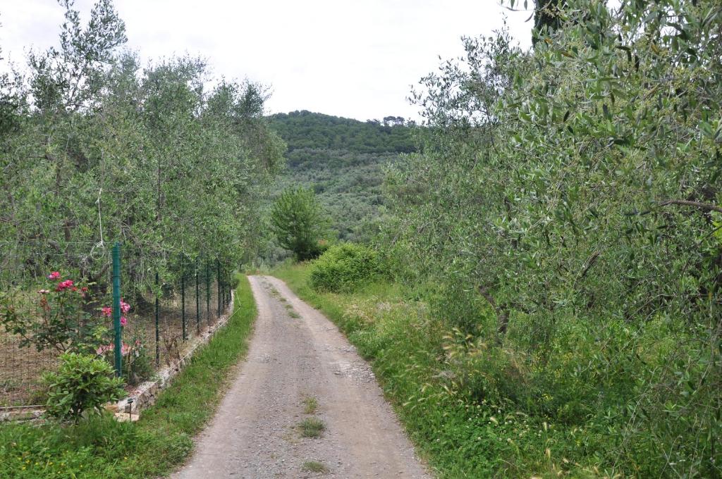 Zdjęcie z galerii obiektu Villa Bella w mieście Vasia