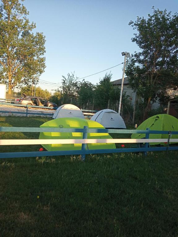 Fotografie z fotogalerie ubytování Camping Danubius Tulcea v destinaci Tulcea