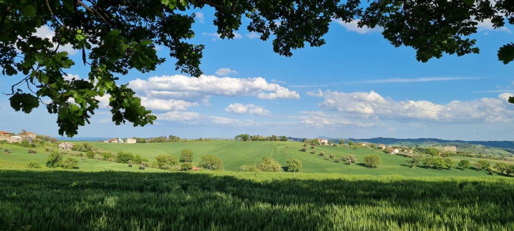 a green field with trees and houses in the distance at Relax da Sabry in Senigallia