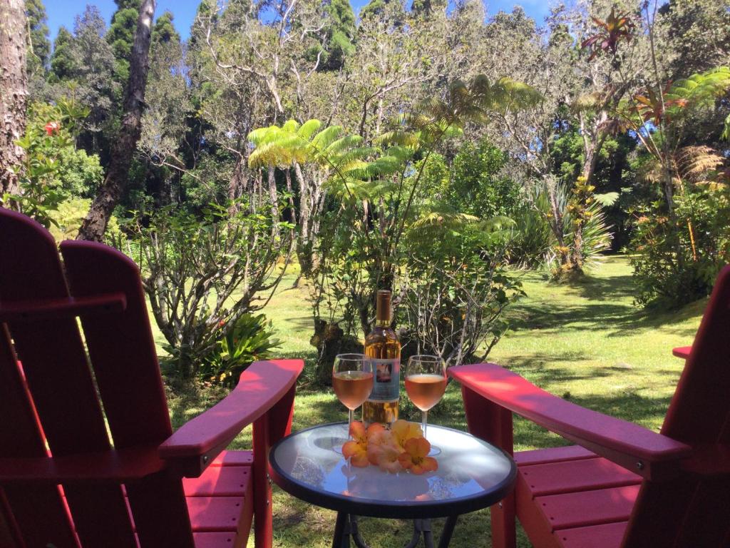einen Tisch mit zwei Gläsern Wein und Obst darauf in der Unterkunft Hale 'Ohu Bed & Breakfast in Volcano