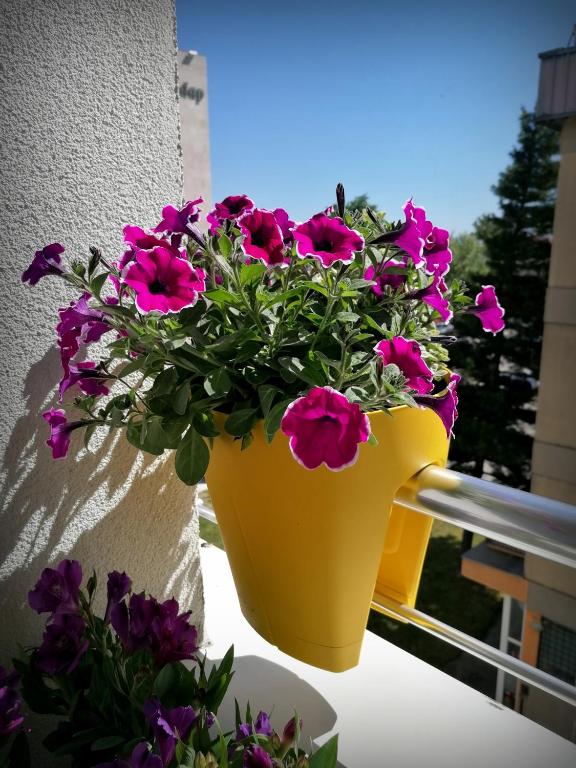 Balkón nebo terasa v ubytování Serbona