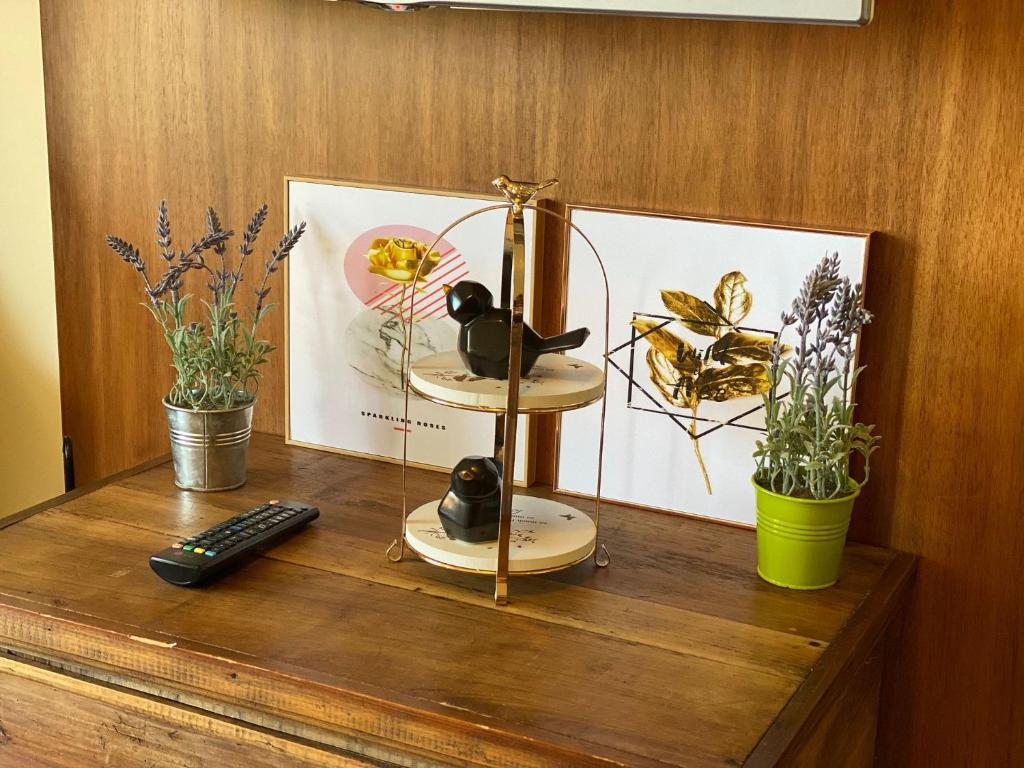 Lindo 1D Borges de Medeiros  Lindo 1D Borges de Medeiros