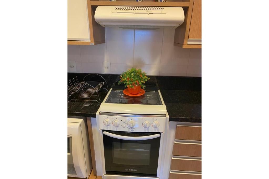 Super Aconchegante 1D 600m R. Coberta  Super Aconchegante 1D 600m R. Coberta