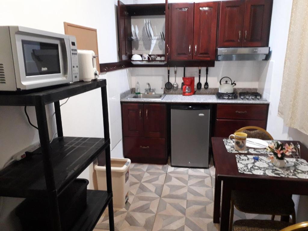 Kuchyň nebo kuchyňský kout v ubytování Aparthotel Boquete Apartments