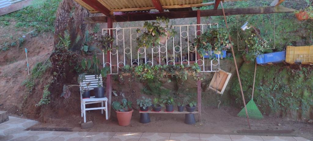  Campos casa melhor aconchego pelo menor preço
