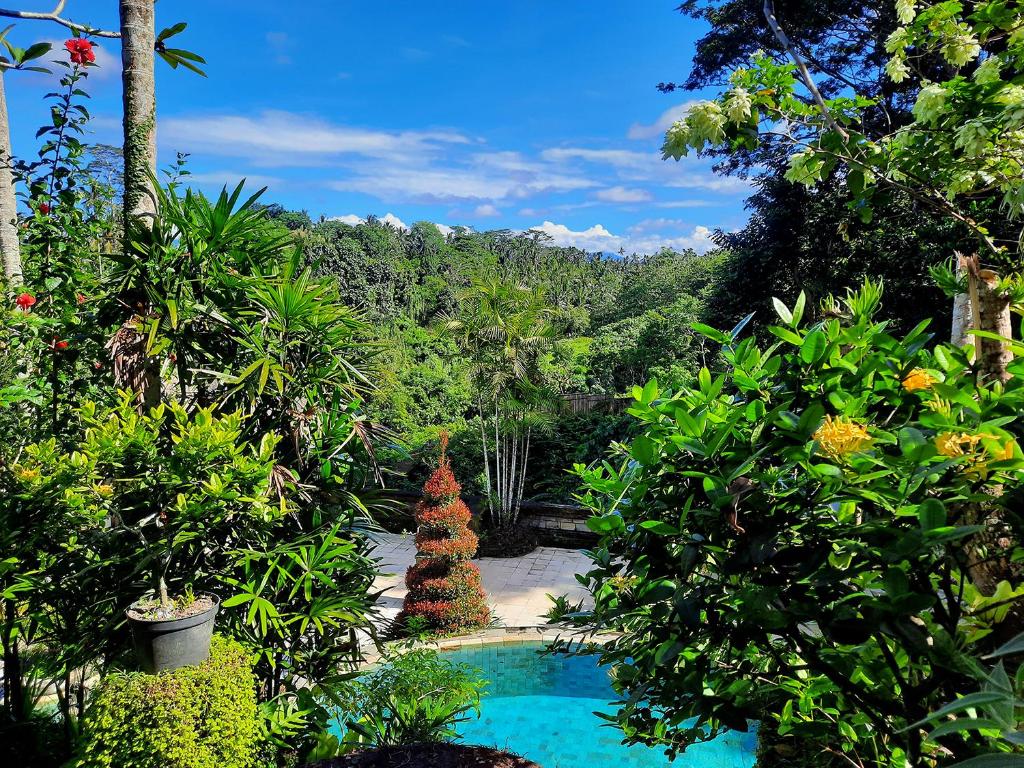 Zahrada ubytování Alam Indah Ubud