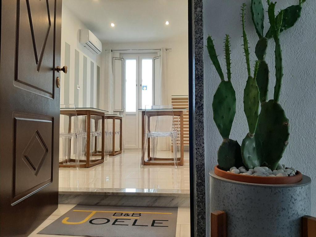 een hal met een plant in een pot naast een deur bij B&B JOELE in Tropea