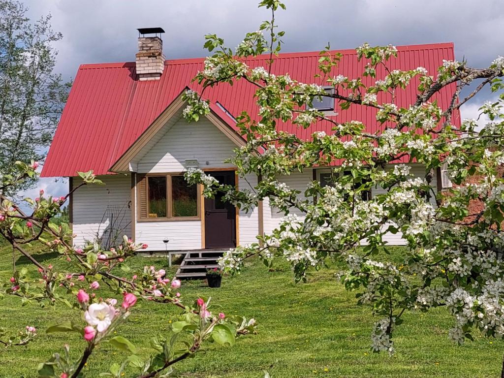 a house with a red roof and a flowering tree at Mesikamäe Saunamaja in Põlva