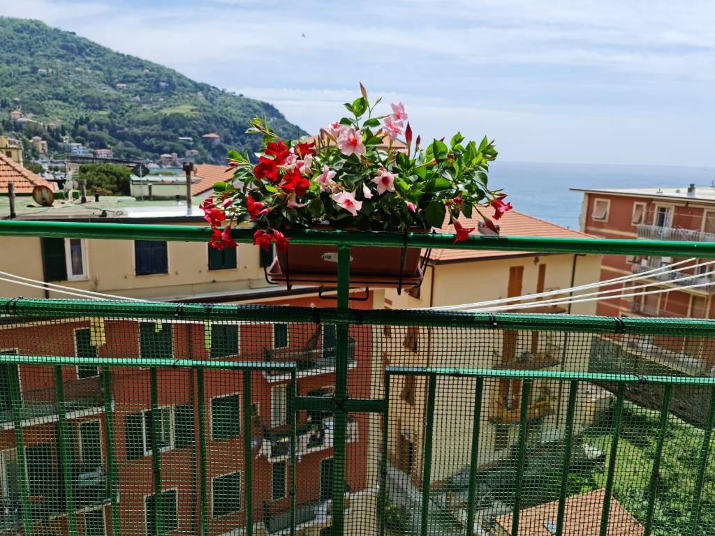 un pot de fleurs assis au-dessus d'un balcon dans l'établissement Ermes, à Levanto