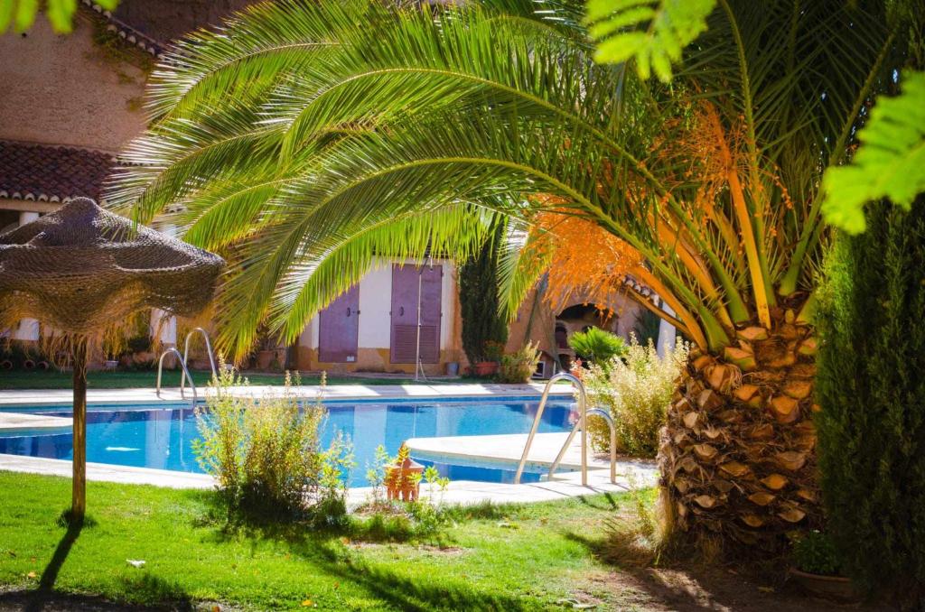 Piscina en o cerca de Hábitat Troglodita Almagruz