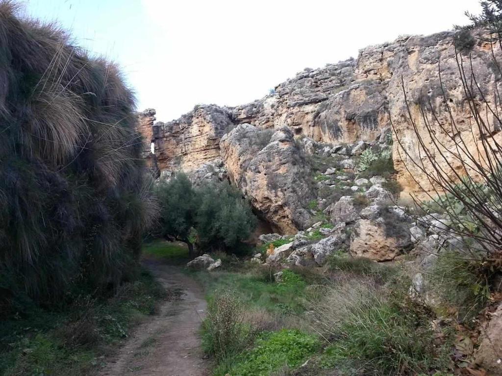 Paisaje cerca of this country house