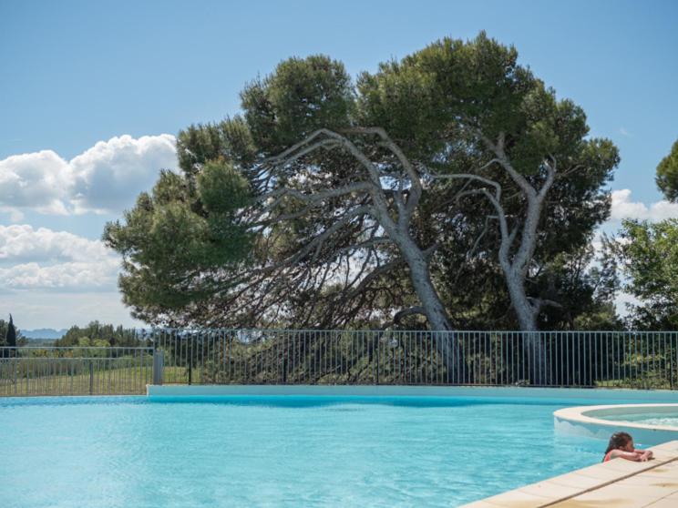 une personne dans une piscine avec un arbre dans l'établissement Les Pins, Provence Country Club, à Saumane-de-Vaucluse