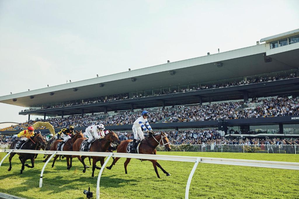 APX Parramatta - Resim 27