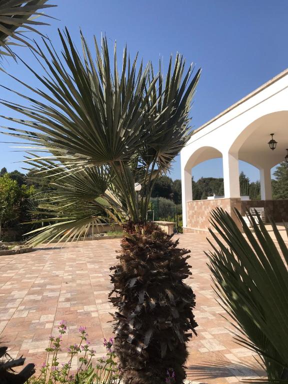 Villa Selva Marina – Photos 1