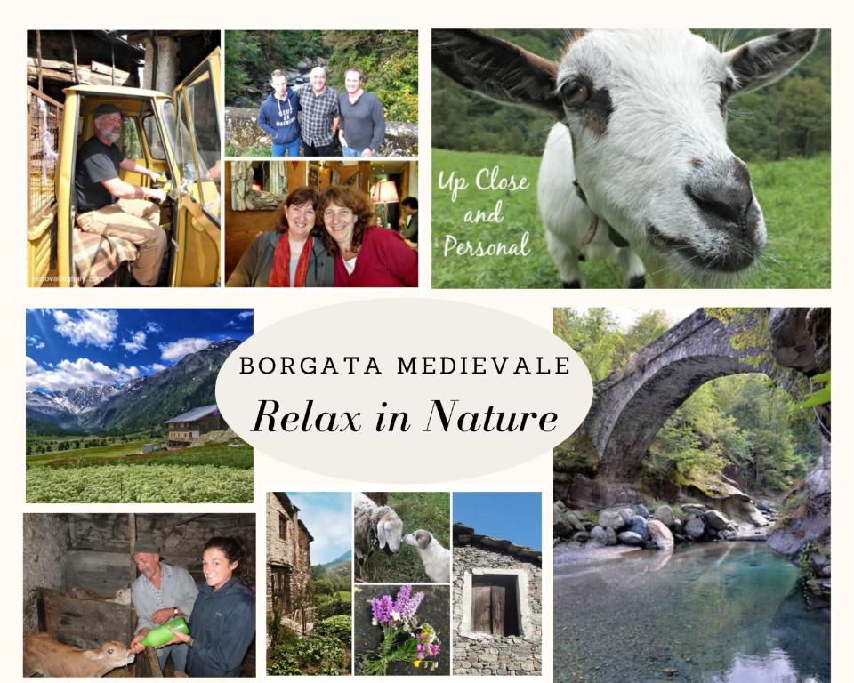 a collage of pictures of people and animals at Medieval Hamlet Malpertus in Bobbio Pellice