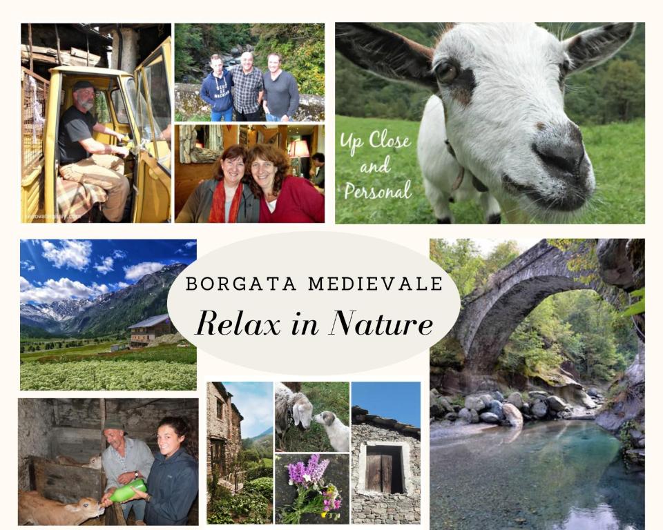 kolaż zdjęć ludzi i zwierząt w obiekcie Medieval Hamlet Malpertus w mieście Bobbio Pellice