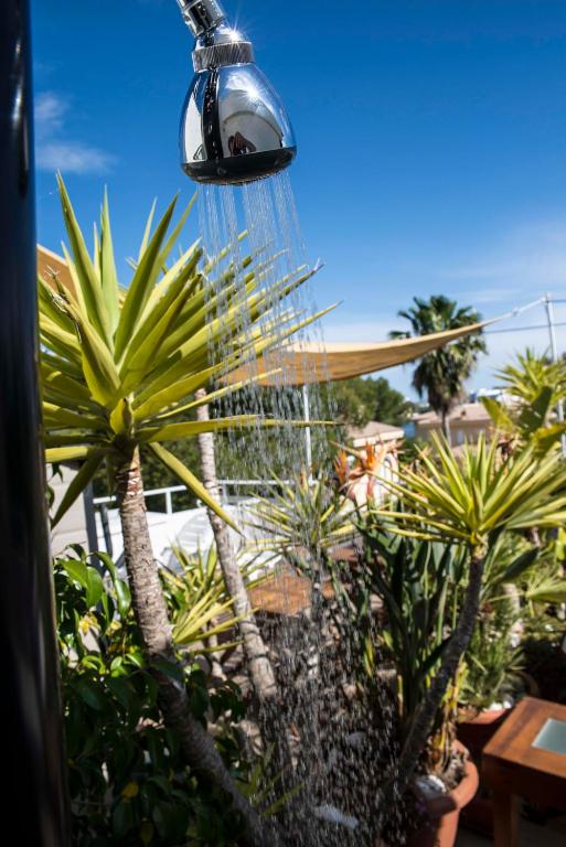 A garden outside BEACH INN Apartment