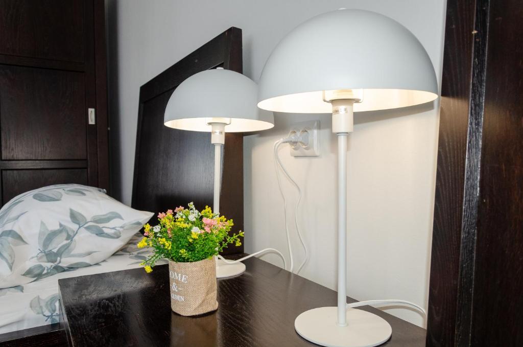 Postel nebo postele na pokoji v ubytování Casa de oaspeti Wallendorf Bistrita Unirea